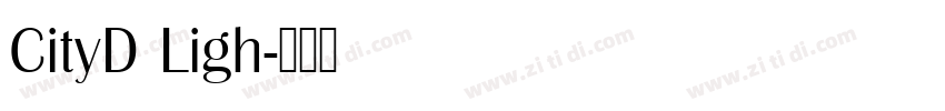 CityD Ligh字体转换